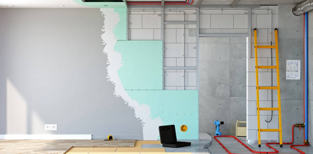 Best Commercial Mold Inspection  in Hallettsville, TX